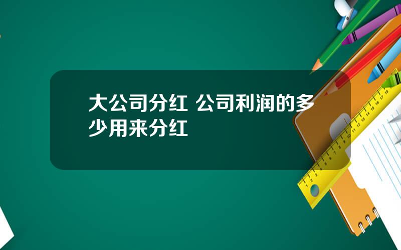 大公司分红 公司利润的多少用来分红